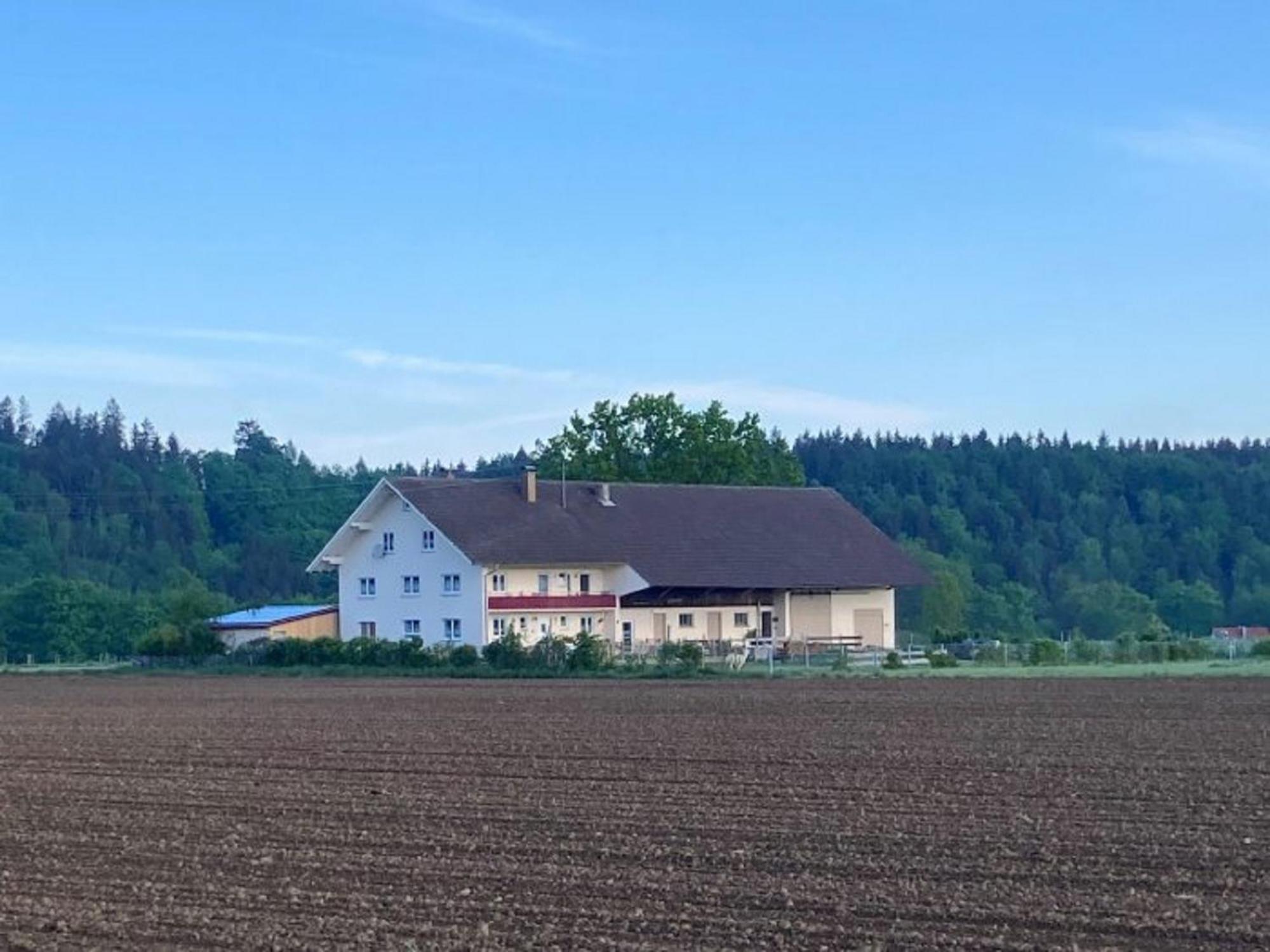 Hof Lebenslust Fuer Mensch Und Tier